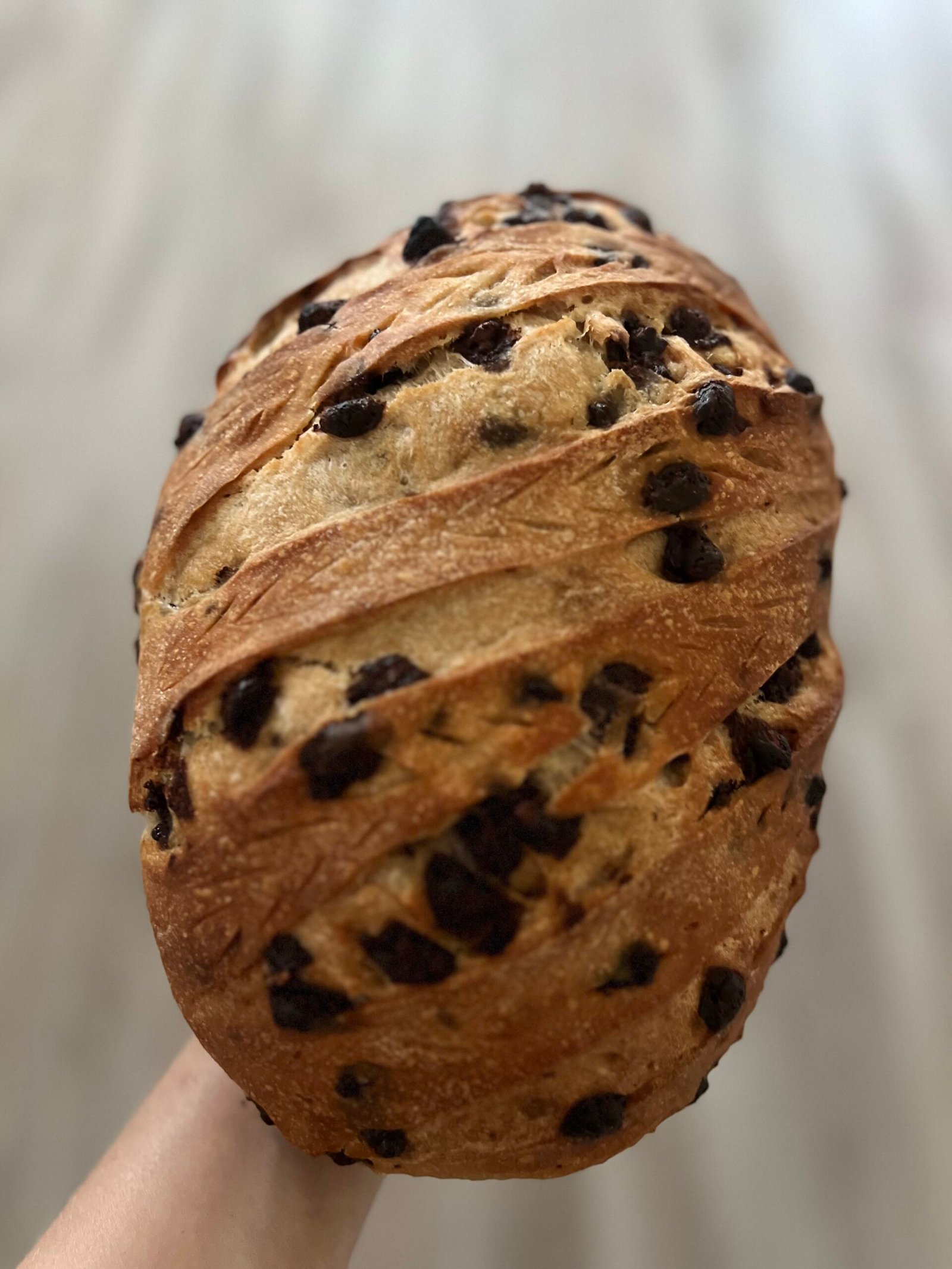 Chocolate Chip Loaf