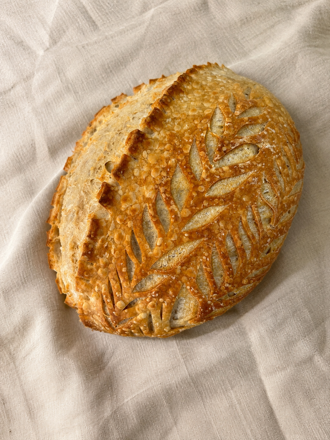 Home Sweet Home Sourdough Original Loaf