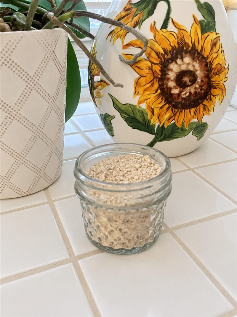 Sourdough Starter (Dehydrated) Sourdough Starter (Dehydrated)