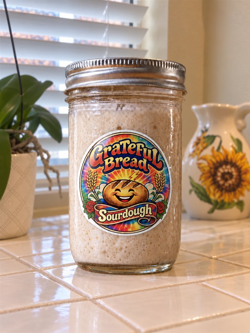 Sourdough Starter (Active)
